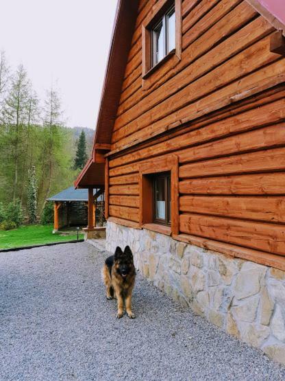 Pegazowa Wola Cisna Apartment Luaran gambar